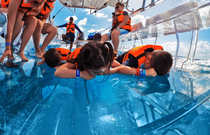 Isla Mujeres: Excursion Crystal Boat Tour at the Caribbean - La Cabonera Reef: The Final Stop, Plus One Last Chance for Big Marine-Life Moments
