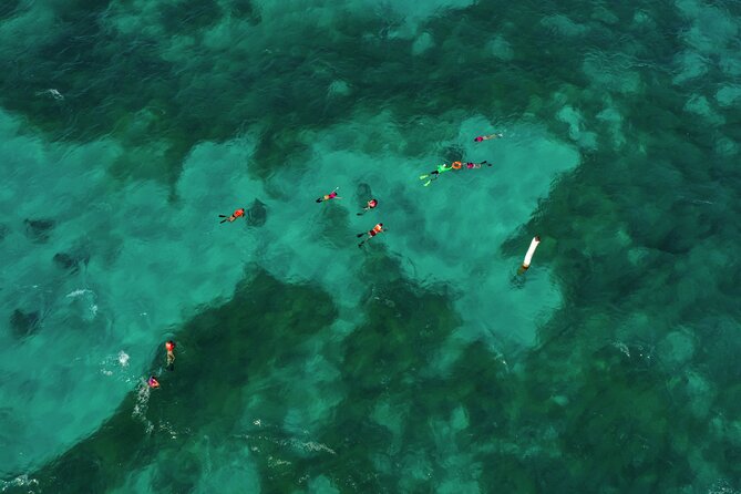 Isla Mujeres Island and Snorkeling Tour - Price and logistics: where the value really comes from