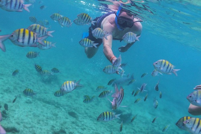 Isla Mujeres Luxury Sailing: Adults Only or Family Friendly - Who this tour suits best (and who should skip it)