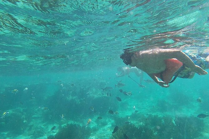 Isla Mujeres: Snorkeling Adventure at the Underwater Museum - Getting to the meeting point at Señor Frog’s (and staying calm)