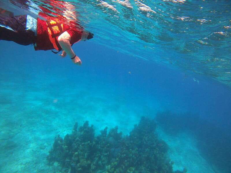 Isla Mujeres: Snorkeling Adventure at the Underwater Museum - Playa Norte time: sightseeing and a food tasting moment