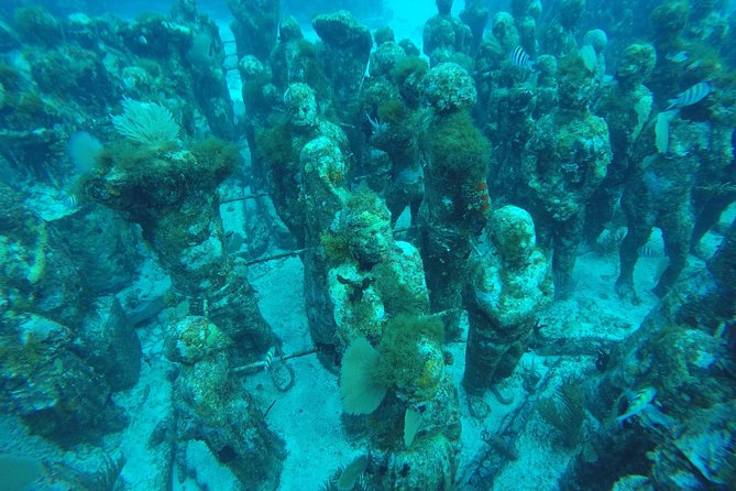Isla Mujeres Snorkeling Tour Adventure - The underwater museum at MUSA: statues, a surreal feel, and limited depth