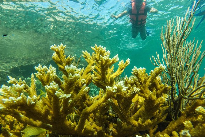 Isla Mujeres Snorkeling Tour Adventure - The boat ride reality: choppy water can be the difference-maker