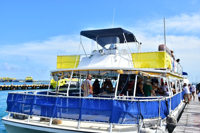 Isla Mujeres Unlimited! Fun & Party with transportation - Snorkeling at the Punta Sam reef: great when it works, with real limits