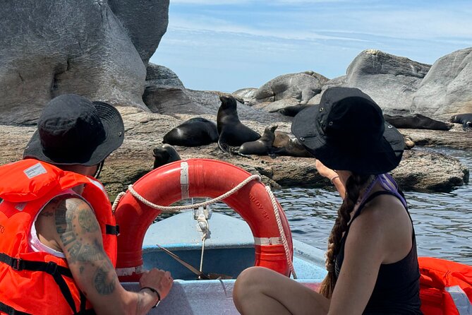 Island Tour with Snorkeling and Picnic - Price and value: $116.50, plus one extra fee to plan for