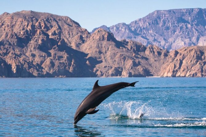 Island Tour with Snorkeling and Picnic - Comfort and practical tips that make the day easier