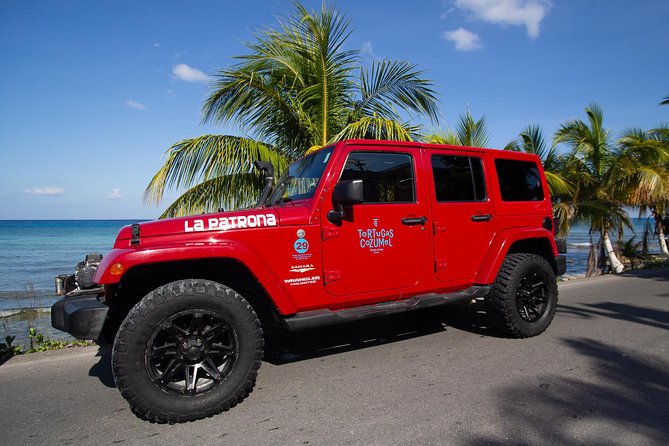 Jeep Exploration & All Inclusive Tortugas Beach Break (Private) - Driving your own jeep: freedom, control, and one main constraint