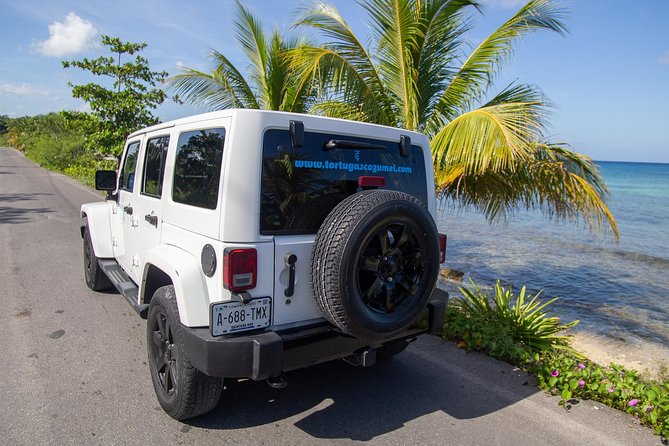 Jeep Exploration & All Inclusive Tortugas Beach Break (Private) - Value for $104.99: when this price makes sense