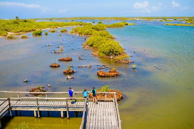 Jeep Safari All Inclusive Private Tour - Punta Sur Eco Park: Crocodiles, Mayan Ruins, and Lighthouse Views