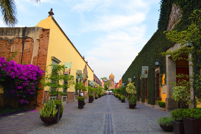 José Cuervo Tequila Day Experience from Guadalajara - A Tequila Day Trip Built Around Agave-to-Bottle Craft