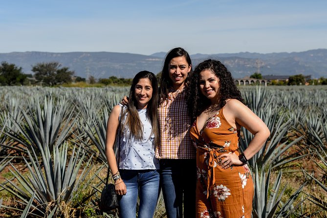 José Cuervo Tequila Day Experience from Guadalajara - Small-Group Comfort, Pickup Timing, and the Real Logistics