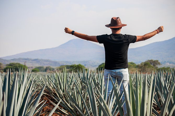 José Cuervo Tequila Day Experience from Guadalajara - José Cuervo at La Rojena, History and the Factory Reality