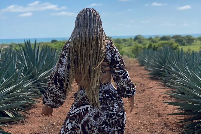 Jungle and beach ATV tour + lunch + tequila tasting - The ATV Ride: Beach Tracks, Agave Fields, Streams, and Photo Breaks
