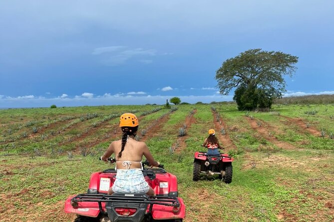 Jungle and beach ATV tour + lunch + tequila tasting - Common Tradeoffs: When This Might Not Match Your Expectations