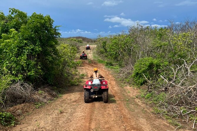 Jungle and beach ATV tour + lunch + tequila tasting - Getting There: Pickup, Van Ride, and the Ranch Arrival Moment
