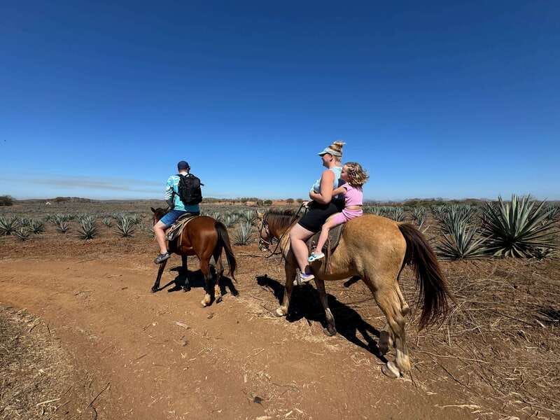 Jungle and beach horseback ride + lunch + mezcal - Key highlights to look forward to