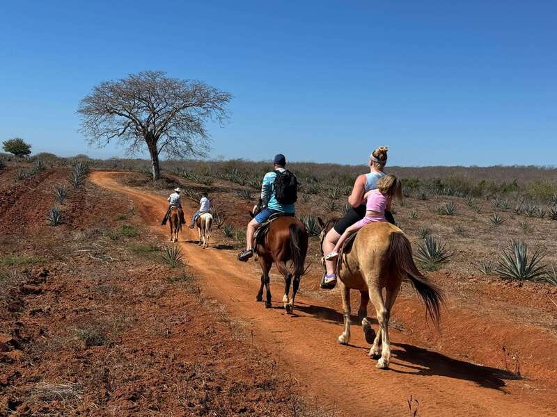 Jungle and beach horseback ride + lunch + mezcal - Should you book the jungle and beach horseback ride plus mezcal?