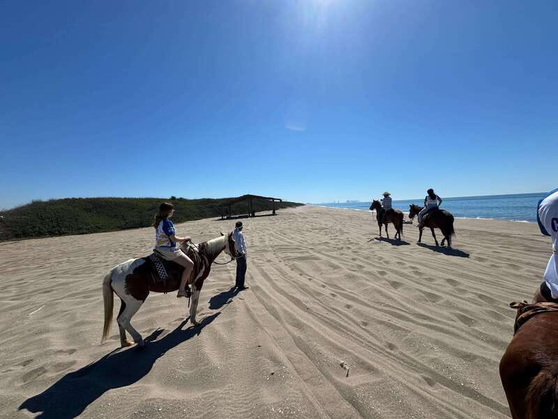 Jungle and beach horseback ride + lunch + mezcal - Getting picked up in Mazatlán and headed to Mr. Lionso Ranch