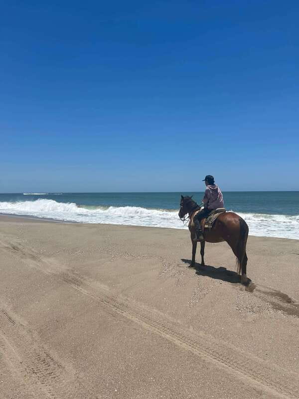 Jungle and beach horseback ride + lunch + mezcal - Price and value for a 3-hour Mazatlán outing