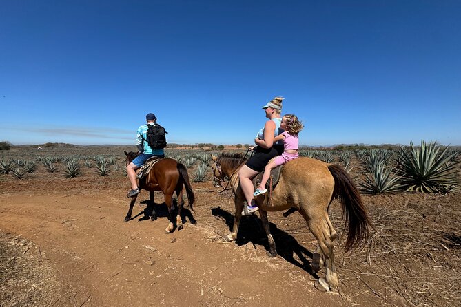 Jungle and Beach Horseback ride Tour in Pacific Coast - Key things to know before you go