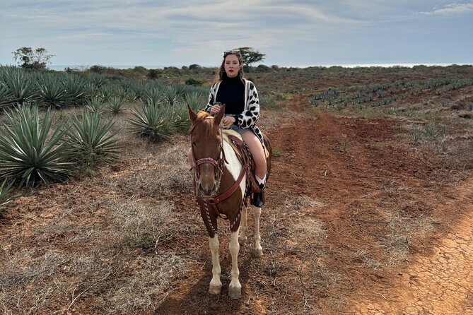 Jungle and Beach Horseback ride Tour in Pacific Coast - Traditional ranch lunch: what is included and why it works