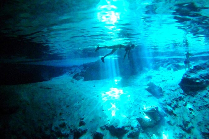 Jungle Bike Tour from Playa del Carmen with Bath in a Cenote - Price and Value at $83.64: What You’re Paying For