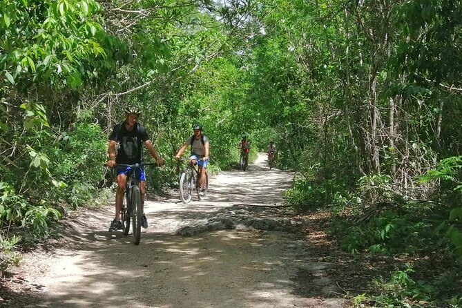 Jungle Bike Tour from Playa del Carmen with Bath in a Cenote - Arriving at the Cenote: Why Morning Hours Matter