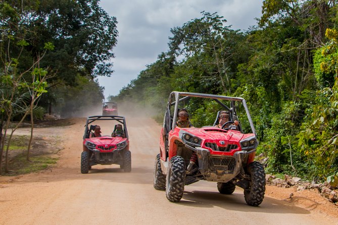 Jungle Buggy Tour from Playa del Carmen Including Cenote Swim - How the Jungle Buggy and Cenote Swim Day Really Works
