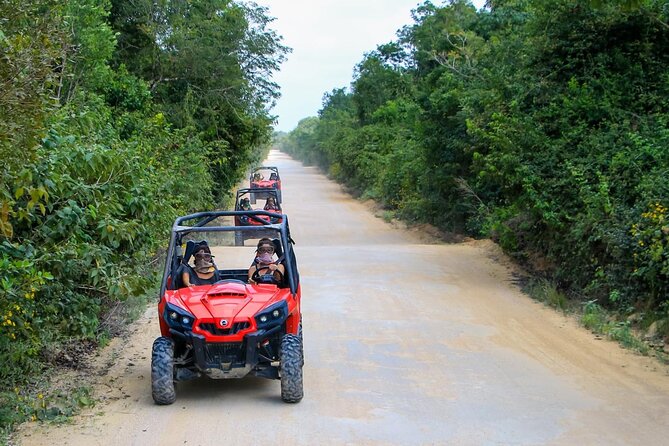 Jungle Buggy Tour from Playa del Carmen Including Cenote Swim - The Cenote Cave Swim and Snorkeling Stop
