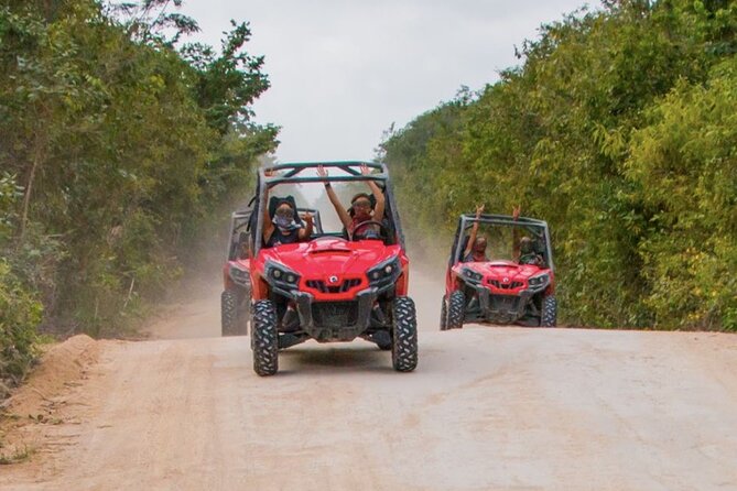 Jungle Buggy Tour from Playa del Carmen Including Cenote Swim - Price and Value: What $110.29 Buys You (and What It Does Not)