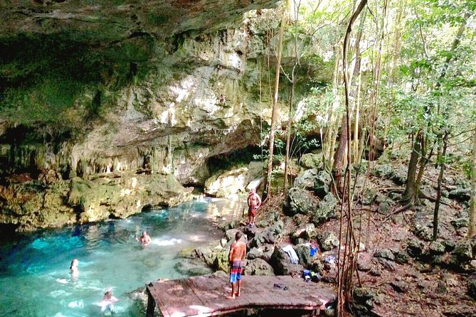 Jungle Buggy Tour from Playa del Carmen Including Cenote Swim - Who Can Drive, Who Can Ride, and Safety Limits