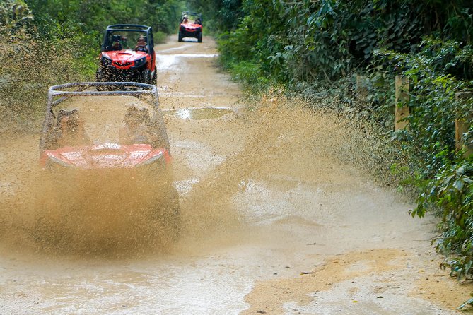 Jungle Buggy Tour from Playa del Carmen Including Cenote Swim - What to Bring, What to Skip, and Small Tips That Matter