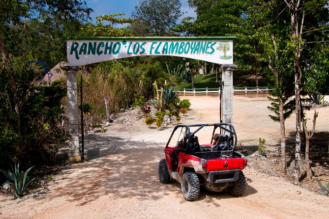 Jungle Buggy Tour from Playa del Carmen Including Cenote Swim - The Guide Experience: Why People Keep Mentioning Fernando and Rigo