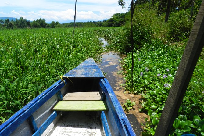 Jungle Coyuca Lagoon Boat Ride Experience & Baby Turtle Release - Coyuca Lagoon in Acapulco’s Backcountry: What You’re Really Seeing