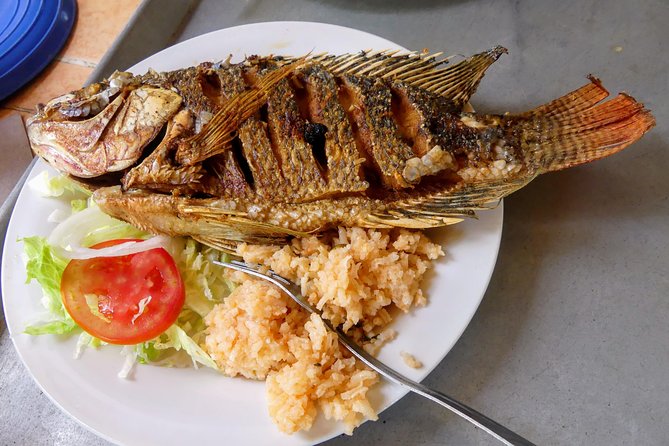Jungle Coyuca Lagoon Boat Ride Experience & Baby Turtle Release - Drinks, Lunch, and What You Pay For vs What’s Covered