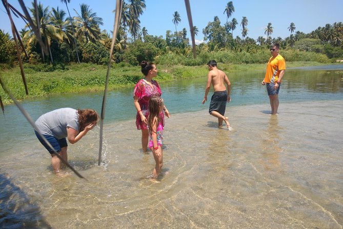 Jungle Coyuca Lagoon Boat Ride Experience & Baby Turtle Release - Getting There With Hotel Pickup and a 10:00 am Start