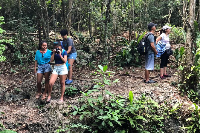 Jungle Jeep Adventure to Mayan Caves, Cenote and Snorkel - Cenote Aerolito de Paraiso and Jade Caverns: the main event