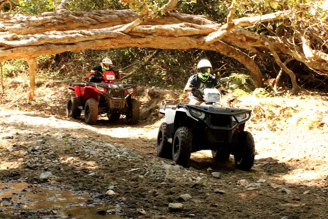 Jungle Single ATV Tour "El Mirador" - The 2-hour plan: what happens from roll-out to back-in-town