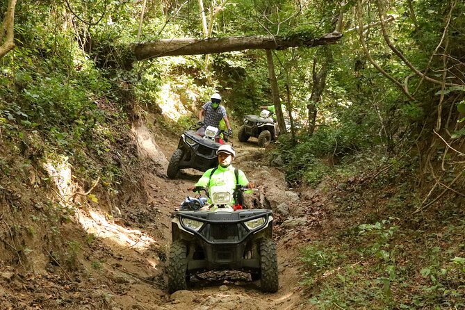 Jungle Single ATV Tour "El Mirador" - Who this tour fits best