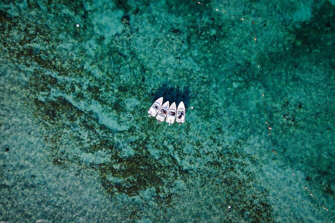Jungle Tour & Snorkel at Punta Nizuc Reef , Underwater museum - Speed-Boat Jungle Ride Through Mangroves, Then Out to the Reef