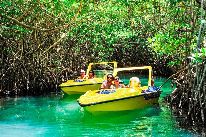 Jungle Tour with Snorkel in Cancun - Price and value: why $49.50 can still cost more on the day