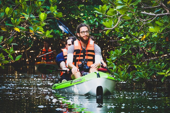 Kayak Adventure in Cancun - Mangrove Channels, Birds You Can Actually Spot, and Wildlife Chances
