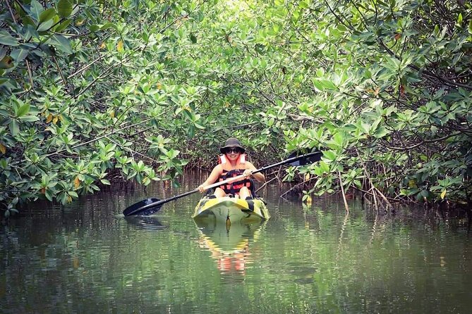 Kayak Adventure in Cancun - Starting Early: Sunrise Energy and a More Intimate Pace