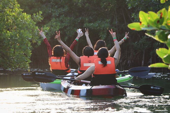 Kayak Adventure in Cancun - Price and Value: Why $47.73 Can Make Sense Here