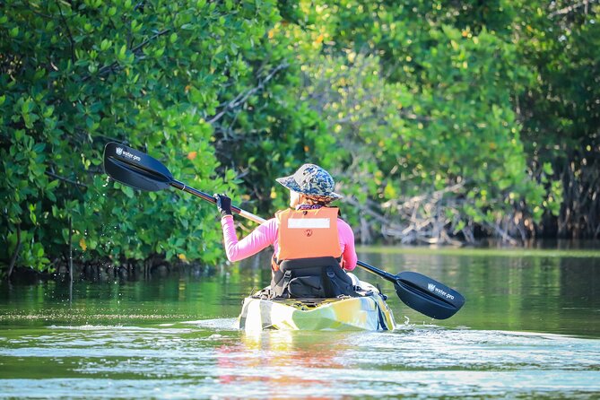Kayak Adventure in Cancun - Should You Book This Kayak Adventure in Cancun?