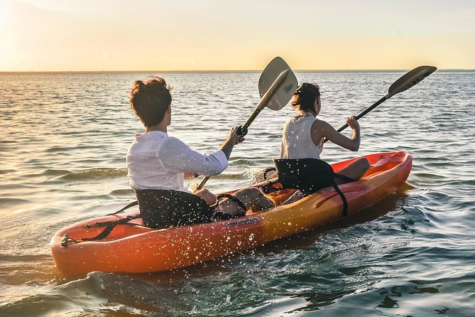 Kayak adventure through Laguna Nichupté in Cancun - Morning versus sunset: pick your vibe, then prepare for mosquitoes
