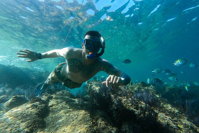 Kayak Expedition to the Arch of Cabo San Lucas, Lovers Beach & Snorkel - What You Get for $90: Value Built Into a Full Morning