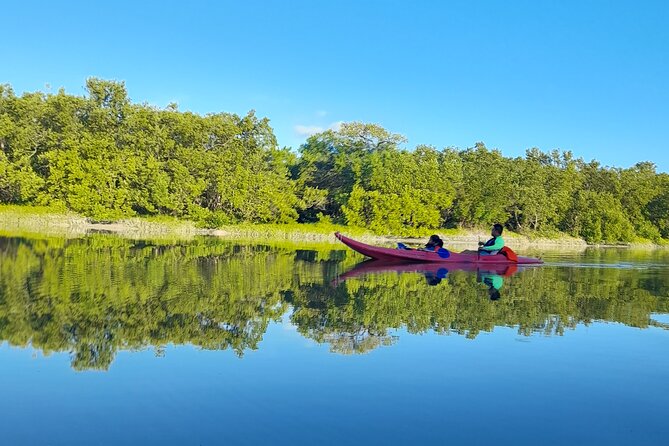 Kayak Experience in the Mangroves of Holbox Island - The paddle, the soaking, and how to prepare like a pro