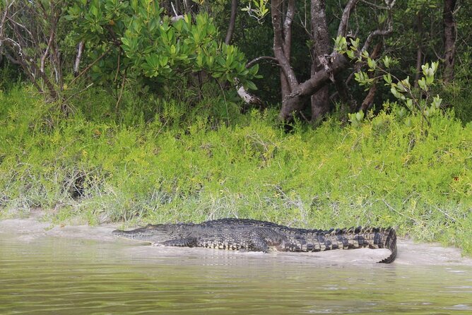 Kayak Experience in the Mangroves of Holbox Island - Kayak and paddle gear, comfort vs. variability