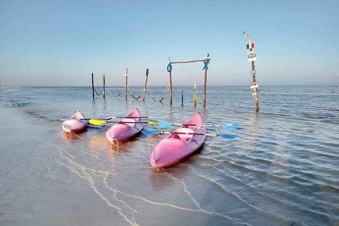 Kayak Experience in the Mangroves of Holbox Island - Price and value: is $56.75 worth it?